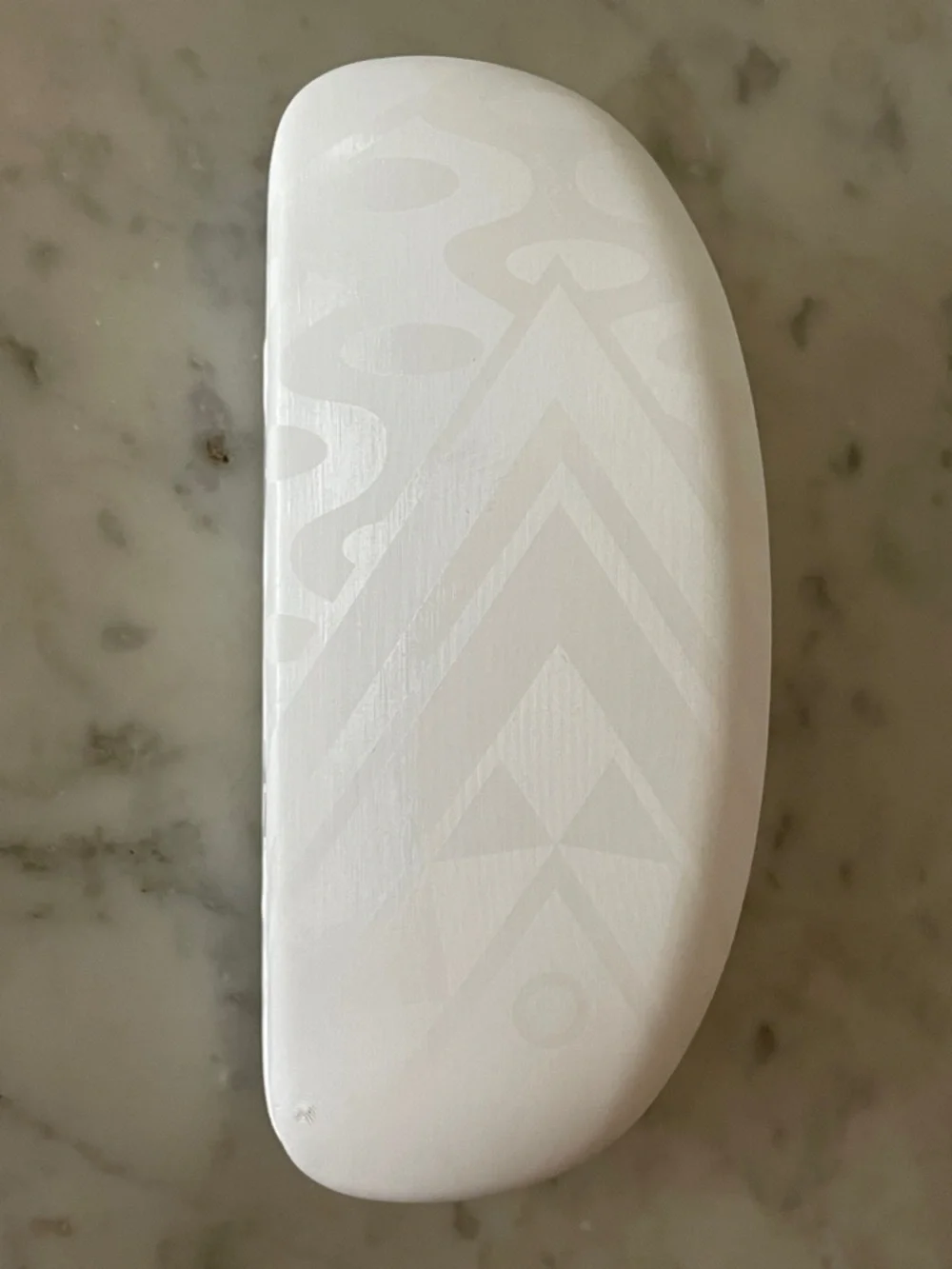 EMILIO PUCCI White Sunglass Hard Clam Shell Large Case